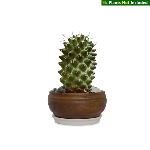 Bowl_Small_Ceramic_Pots_For_Indoor_Plants,_Planters,_Flower,_Pots,_Gamla,_Outdoor,_Balcony,_Home,_Garden,_Office_Décor,_Succulent_Pot_(Antique,_Plate:_White_R4)