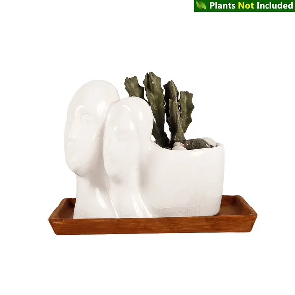 Couple_Ceramic_Pot_With_Antique_Plate_For_Indoor_Plants_Planters,_Flower_Pots,_Gamla,_Succulent_Pot_For_Outdoor_(Color:_White,_Plate_:_Antique)_Rec003