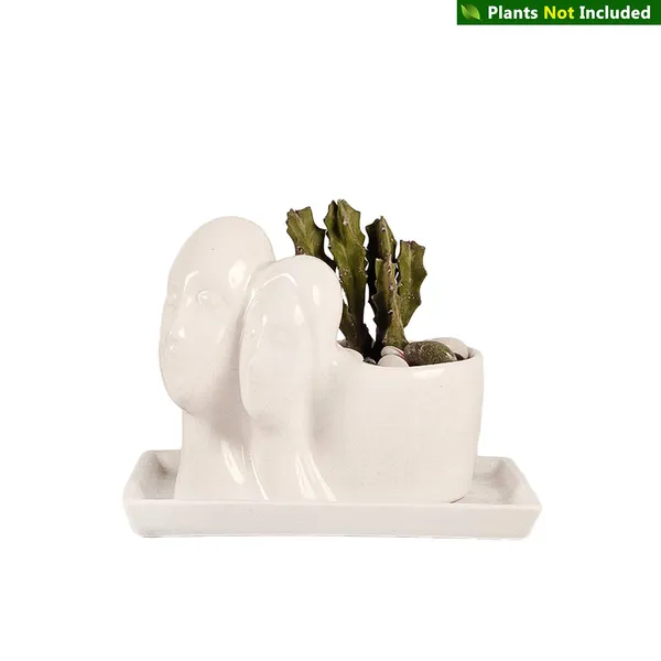 Couple_Ceramic_Pot_With_White_Plate_For_Indoor_Plants_|_Planters,_Flower_Pots,_Gamla,_Succulent_Pot_For_Outdoor_(Color:_White,_Plate_:_White)_Rec003