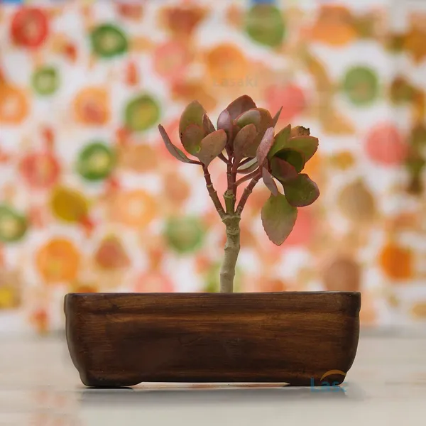 Rectangle_Ceramic_Pots_For_Indoor_Outdoor_Flower,Plants,Planters_Gamla_Balcony_Home_Garden_Office_Deco_Succulent(Antique_With_Polish)(L:20_Cm,W:13_Cm,H:6.5_Cm)_Rec003