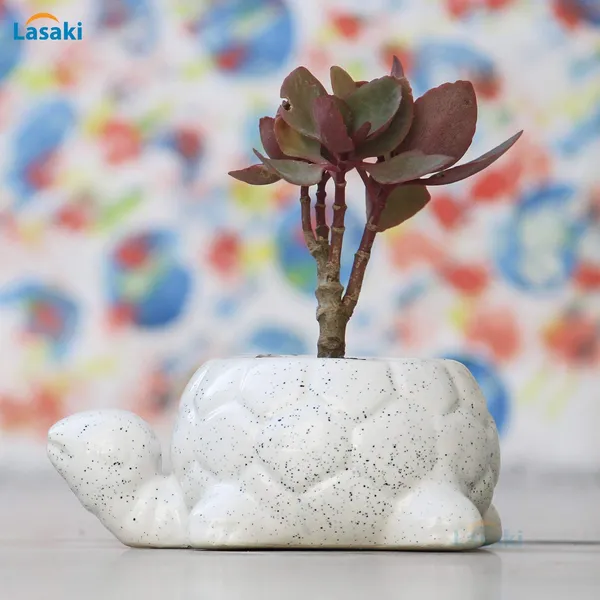 Tortoise_Small_Ceramic_Pots_For_Indoor_Plants_Planters_Flower_Pots_Gamla_Outdoor,_Balcony_Home_Garden_Office_Decor_Succulent_Pot_(Color:White)