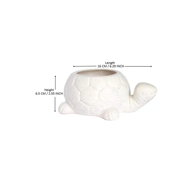 Tortoise_Small_Ceramic_Pots_For_Indoor_Plants_Planters_Flower_Pots_Gamla_Outdoor,_Balcony_Home_Garden_Office_Decor_Succulent_Pot_(Color:White)