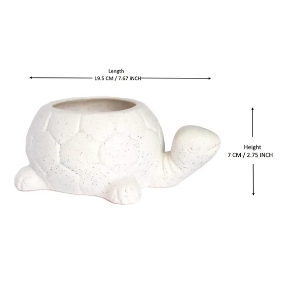 Tortoise_Ceramic_Pots_For_Indoor_Plants,Planters,Flower_Pots,Gamla_For_Indoor,Outdoor,Succulent_Pot.(Color:White)(L:19.5_Cm,W:13.5_Cm,_H:7_Cm)