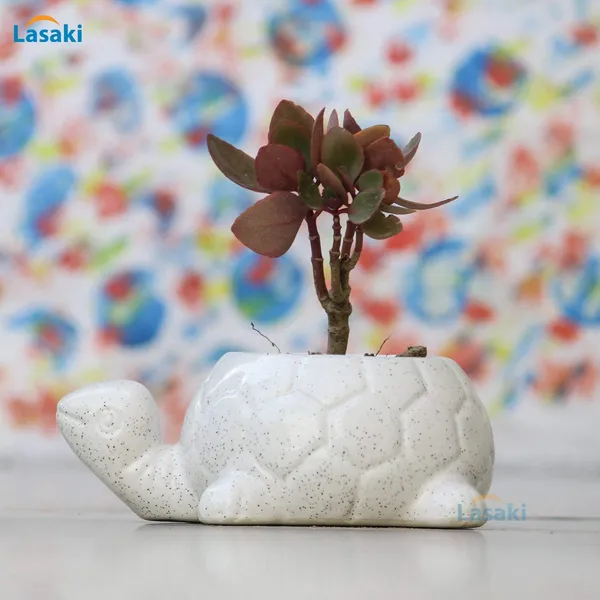 Tortoise_Ceramic_Pots_For_Indoor_Plants,Planters,Flower_Pots,Gamla_For_Indoor,Outdoor,Succulent_Pot.(Color:White)(L:19.5_Cm,W:13.5_Cm,_H:7_Cm)