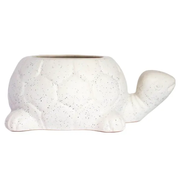 Tortoise_Ceramic_Pots_For_Indoor_Plants,Planters,Flower_Pots,Gamla_For_Indoor,Outdoor,Succulent_Pot.(Color:White)(L:19.5_Cm,W:13.5_Cm,_H:7_Cm)