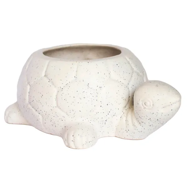 Tortoise_Ceramic_Pots_For_Indoor_Plants,Planters,Flower_Pots,Gamla_For_Indoor,Outdoor,Succulent_Pot.(Color:White)(L:19.5_Cm,W:13.5_Cm,_H:7_Cm)