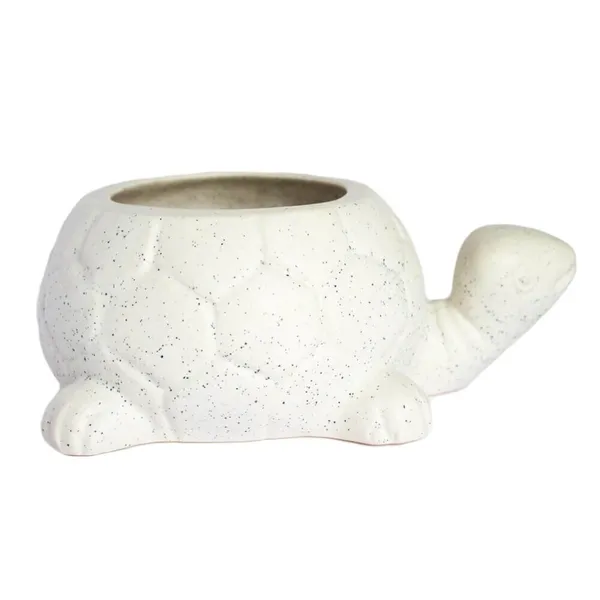 Tortoise_Ceramic_Pots_For_Indoor_Plants,Planters,Flower_Pots,Gamla_For_Indoor,Outdoor,Succulent_Pot.(Color:White)(L:19.5_Cm,W:13.5_Cm,_H:7_Cm)