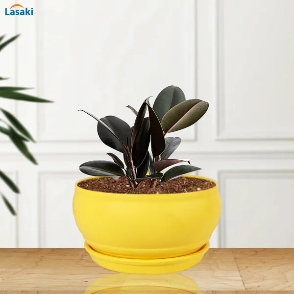 Bowl_Small_Saffron_With_Plate_Saffron_R4_Ceramic_Pots_For_Indoor_Plants,Planters,Flower,Gamla,Outdoor,Home,Garden,Decor,Succulent(Bowl-H-8Cmxd-15Cm,Plate-H-2Xd-13Cm)
