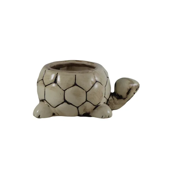 Tortoise_Small_Ceramic_Pots_Best_Use_For_Indoor_Plants,_Planters,_Flower_Pots,_Gamla_For_Indoor_Or_Outdoor_And_Succulent_Pot_(Color:Ivory)