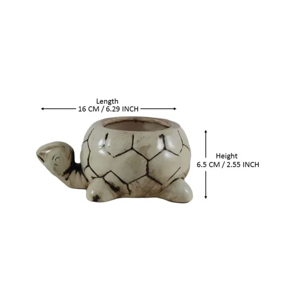 Tortoise_Small_Ceramic_Pots_Best_Use_For_Indoor_Plants,_Planters,_Flower_Pots,_Gamla_For_Indoor_Or_Outdoor_And_Succulent_Pot_(Color:Ivory)