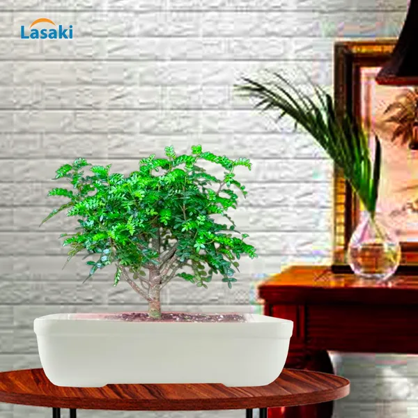 Rectangle_Ceramic_Pots_For_Indoor_Plants_Planters_Flower_Pots_Gamla_Outdoor_Succulent_Pot.(Color:_White)(L:_26_Cm,_W:_19_Cm,_H:_7_Cm)(Rec002)