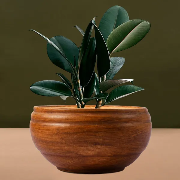 Bowl_Small_Antique_Ceramic_Pots_For_Indoor_Plants,_Planters,_Flower,_Pots,_Gamla,_Outdoor,_Balcony,_Home,_Garden,_Office_Decor,_Succulent_Pot(D_-_15_X_H_-_8_Cm)