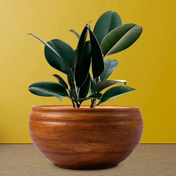 Bowl_Small_Antique_Ceramic_Pots_For_Indoor_Plants,_Planters,_Flower,_Pots,_Gamla,_Outdoor,_Balcony,_Home,_Garden,_Office_Decor,_Succulent_Pot(D_-_15_X_H_-_8_Cm)