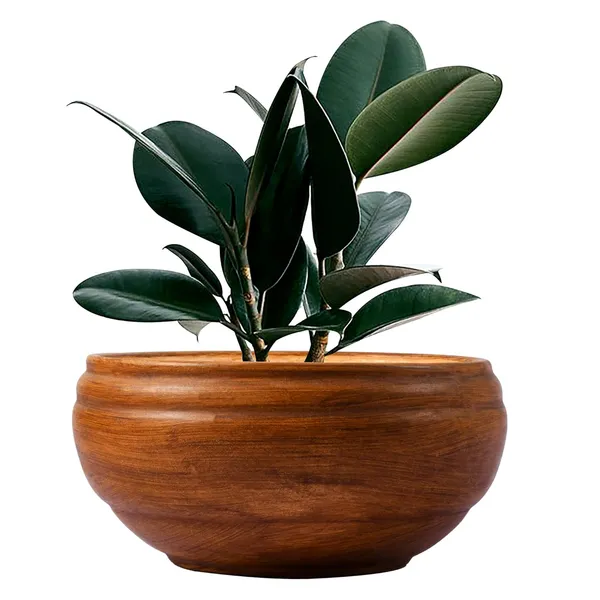 Bowl_Small_Antique_Ceramic_Pots_For_Indoor_Plants,_Planters,_Flower,_Pots,_Gamla,_Outdoor,_Balcony,_Home,_Garden,_Office_Decor,_Succulent_Pot(D_-_15_X_H_-_8_Cm)