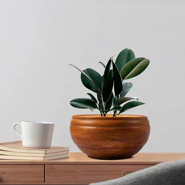 Bowl_Small_Antique_Ceramic_Pots_For_Indoor_Plants,_Planters,_Flower,_Pots,_Gamla,_Outdoor,_Balcony,_Home,_Garden,_Office_Decor,_Succulent_Pot(D_-_15_X_H_-_8_Cm)