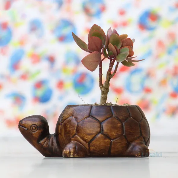 Tortoise_Big_Ceramic_Pots_For_Garden_Plants_Indoor_Plants_Planters_Flower_Pots_Gamla_Outdoor_Balcony_Home_Garden_And_Office_Decor_Succulent_Pot_(Color:_Antique)