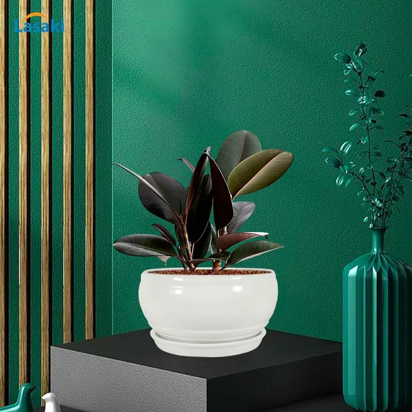 Bowl_Small_White_With_Plate_White_R4_Ceramic_Pots_For_Indoor_Plants,Planters,Flower,Gamla,Outdoor,Balcony,Home,Garden,Decor,Succulent(Bowl-H-8Cmxd-15Cm,Plate-H-2Xd-13Cm)