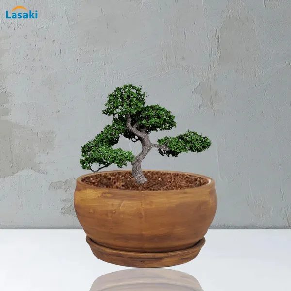 Bowl_Small_Antique_With_Plate_Antique_R4_Ceramic_Pots_For_Indoor_Plants,Planters,Flower,Gamla,Outdoor,Home,Garden,Decor,Succulent(Bowl-H-8Cmxd-15Cm,Plate-H-2Xd-13Cm)
