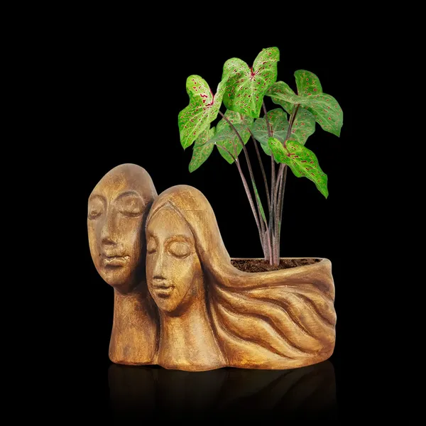 Couple_Antique_Ceramic_Pots_For_Indoor_Plants,_Planters,_Flower,Gamla,_Outdoor,_Balcony,_Home,_Garden,_Office_Decor,_Succulent(L_-_16_X_W_-_10_X_H_-_14.5_Cm)