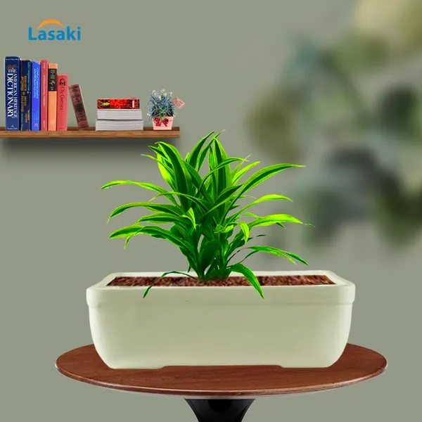 Rectangle_Ceramic_Pots_For_Indoor_Plants,Planters,Flower,Gamla,Outdoor,Balcony,Home,Garden,Office_Decor,Succulent(Color:White)(L:20_Cm,W:13_Cm,_H:6.5_Cm)_Rec003