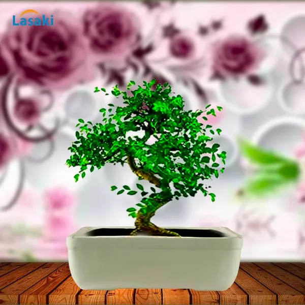 Rectangle_Ceramic_Pots_For_Indoor_Plants,Planters,Flower,Gamla,Outdoor,Balcony,Home,Garden,Office_Decor,Succulent(Color:White)(L:20_Cm,W:13_Cm,_H:6.5_Cm)_Rec003