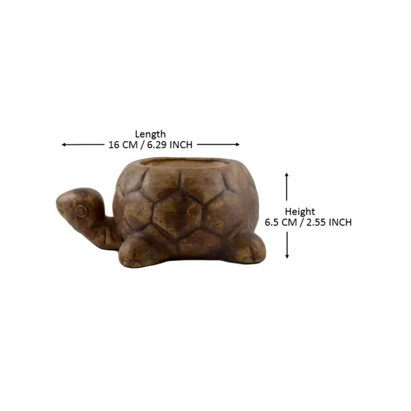 Tortoise_Small_Ceramic_Pots_For_Indoor_Plants,Planters,Flower_Pots,Gamla,Outdoor,Balcony,Home,Garden,Office_Decor,Succulent_Pot(Color:Antique)(L:16_Cm,_W:11.5_Cm,_H:6.5_Cm)