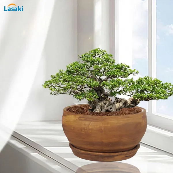 Bowl_Small_Antique_With_Plate_Antique_R4_Ceramic_Pots_For_Indoor_Plants,Planters,Flower,Gamla,Outdoor,Home,Garden,Decor,Succulent(Bowl-H-8Cmxd-15Cm,Plate-H-2Xd-13Cm)