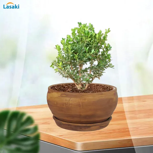 Bowl_Small_Antique_With_Plate_Antique_R4_Ceramic_Pots_For_Indoor_Plants,Planters,Flower,Gamla,Outdoor,Home,Garden,Decor,Succulent(Bowl-H-8Cmxd-15Cm,Plate-H-2Xd-13Cm)