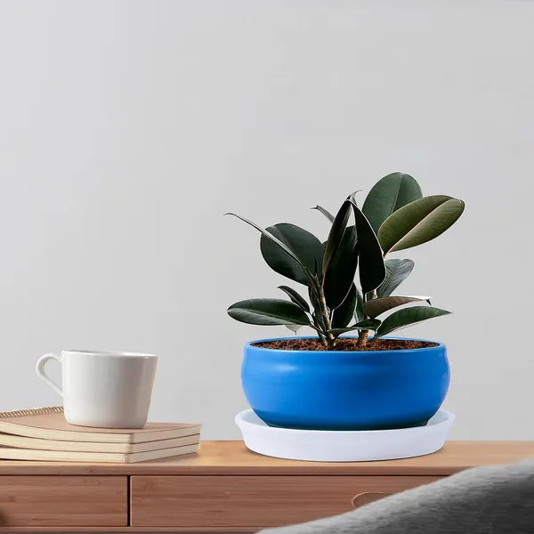 Bowl_With_Tray_Plate_Ceramic_Pots_For_Indoor_Plants,Planters,Flower_Pots,Gamla_For_Indoor,Outdoor,Balcony,Home,Garden,Office_Decor,Succulent_Pot(D:13_Cm,_H:7_Cm)_Cir001