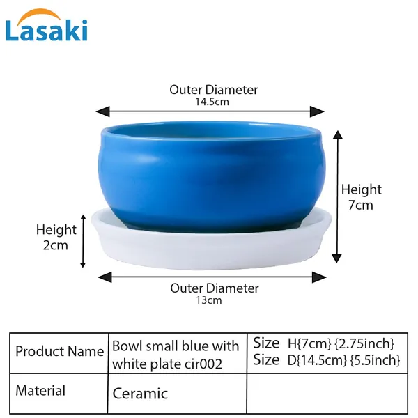 Bowl_With_Tray_Plate_Ceramic_Pots_For_Indoor_Plants,Planters,Flower_Pots,Gamla_For_Indoor,Outdoor,Balcony,Home,Garden,Office_Decor,Succulent_Pot(D:13_Cm,_H:7_Cm)_Cir001