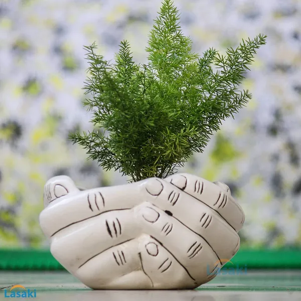 Hand_Ceramic_Pots_For_Indoor_Plants,Planters,Flower_Pots,Gamla_For_Indoor,Outdoor,Balcony,Home,Garden,Office_Decor,Pot,Succulent_Pot(Ivory)(L:18_Cm,_W:16_Cm,_H:9_Cm)