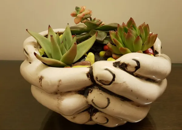 Hand_Ceramic_Pots_For_Indoor_Plants,Planters,Flower_Pots,Gamla_For_Indoor,Outdoor,Balcony,Home,Garden,Office_Decor,Pot,Succulent_Pot(Ivory)(L:18_Cm,_W:16_Cm,_H:9_Cm)