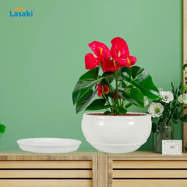 Bowl_Small_White_With_Plate_White_R4_Ceramic_Pots_For_Indoor_Plants,Planters,Flower,Gamla,Outdoor,Balcony,Home,Garden,Decor,Succulent(Bowl-H-8Cmxd-15Cm,Plate-H-2Xd-13Cm)