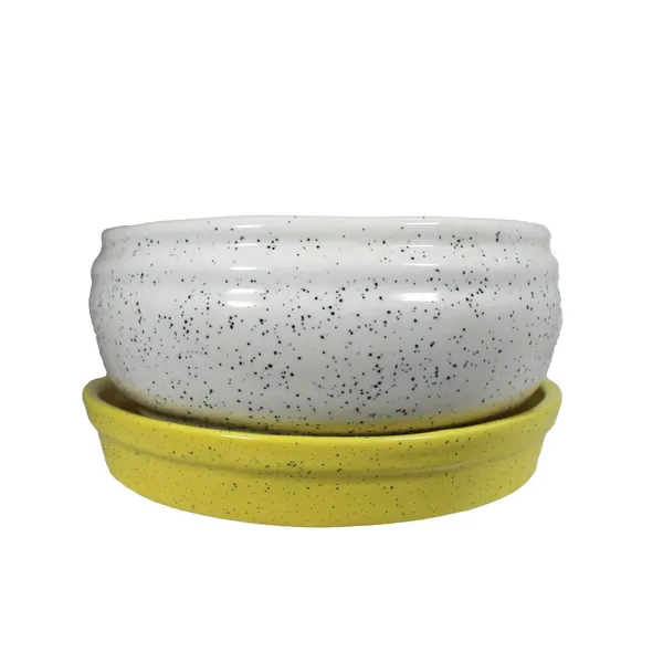 Bowl_With_Tray_Plate_Ceramic_Pots_For_Indoor_Plants,Planters,Flower_Pots,Gamla_For_Indoor,Outdoor,Succulent_Pot(D:13_Cm,_H:7_Cm)_(Color:White,_Plate:Yellow)_Cir001