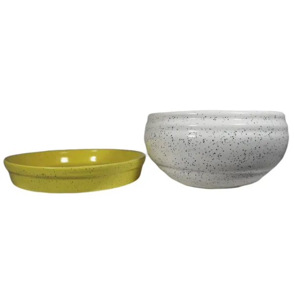 Bowl_With_Tray_Plate_Ceramic_Pots_For_Indoor_Plants,Planters,Flower_Pots,Gamla_For_Indoor,Outdoor,Succulent_Pot(D:13_Cm,_H:7_Cm)_(Color:White,_Plate:Yellow)_Cir001