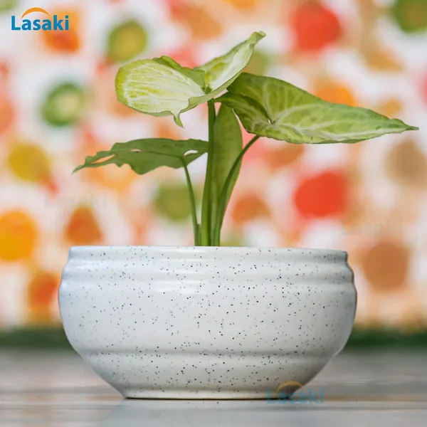 Bowl_With_Tray_Plate_Ceramic_Pots_For_Indoor_Plants,Planters,Flower_Pots,Gamla_For_Indoor,Outdoor,Succulent_Pot(D:13_Cm,_H:7_Cm)_(Color:White,_Plate:Yellow)_Cir001