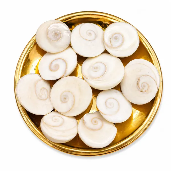 11_Gomti_Chakra_�_Symbol_of_Wealth,_Prosperity_&_Positive_Energy