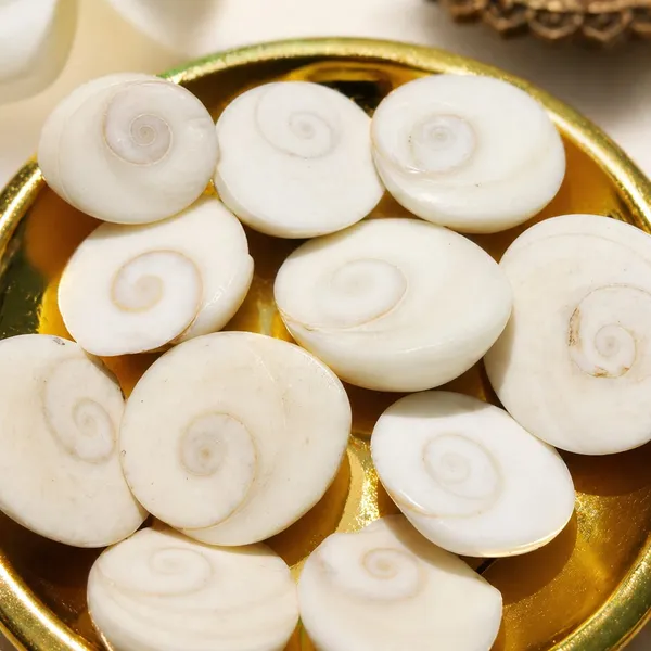 11_Gomti_Chakra_�_Symbol_of_Wealth,_Prosperity_&_Positive_Energy