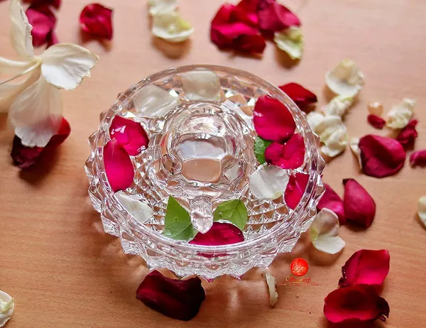 Transparent_Vastu_Feng_Shui_Crystal_Tortoise_With_Round_Shape_Plate_For_Good_Luck_(9L_X_6W_X_5H_Cm)