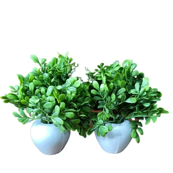 Green_&_White_Plastic_Premium_Artificial_Flowers_Pot_(60D_X_40W_X_40H_Mm)_(2_Pc)