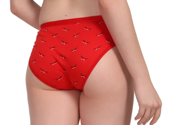 Prince_Printed_Panties_for_Women_|_100%_Combed_Cotton_Fabric_|_Anti-Bacterial_Printed_Bikini_Panty-_Briefs_for_Women_|Pack_of_3,_Medium_Coverage_Innerwear_No_Marks_Waistband_Multicolor