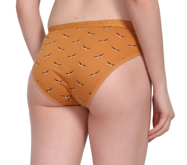 Prince_Printed_Panties_for_Women_|_100%_Combed_Cotton_Fabric_|_Anti-Bacterial_Printed_Bikini_Panty-_Briefs_for_Women_|Pack_of_3,_Medium_Coverage_Innerwear_No_Marks_Waistband_Multicolor