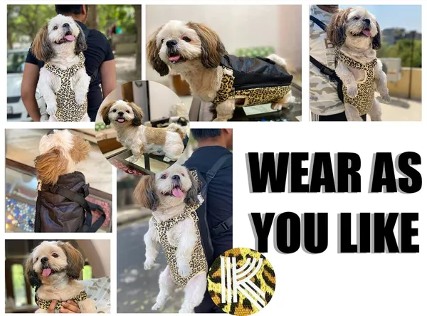 Black_Kraptick_Pet_Carrier_Backpack,_Kangaroo_Style,_Shoulder_Adjustable_Bag,_Legs_&_Tail_Out,_Easy-Fit_For_Traveling/Hiking/Camping_For_Small/Medium_Pets_Dogs/Cats/Puppies/Kittens