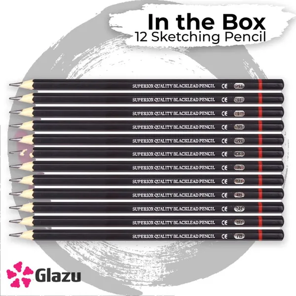 Black_Professional_Shading/Drawing_Pencils_Set_-_12_Lead_Pencils_For_Artists_And_Designers