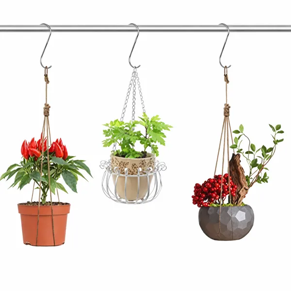 Heavy_Duty_Gas_Cylinder_Trolley_with_20_PCS_Hooks_|_Premium_Quality_Handling_Stand