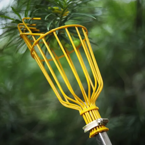 Metal_Fruit_Picker_With_Adjustable_Pole_Fixing_Clamp_(33_X_33_X_15_Cm)