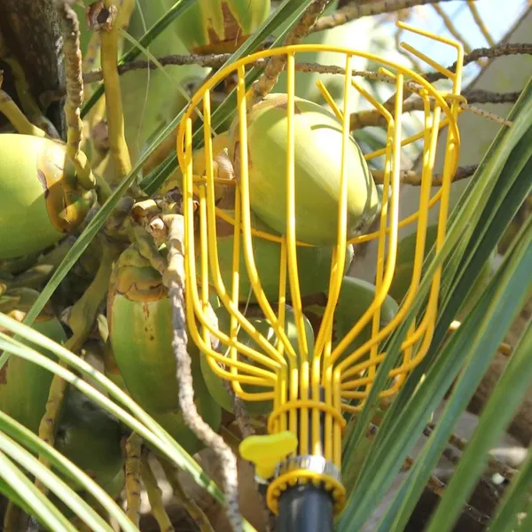 Metal_Fruit_Picker_With_Adjustable_Pole_Fixing_Clamp_(33_X_33_X_15_Cm)