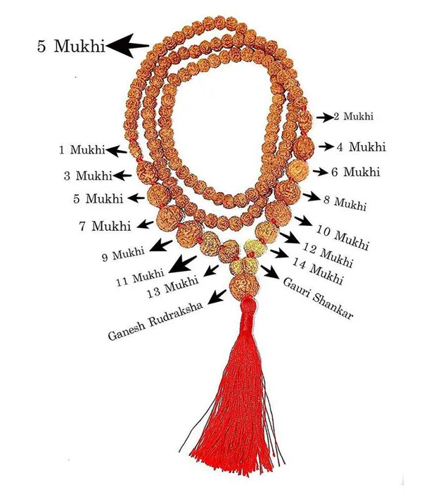 1_-_14_Mukhi_Rudraksha_Mala_(Indonesia_Origin)