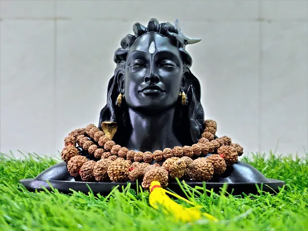 1_-_14_Mukhi_Rudraksha_Mala_(Indonesia_Origin)