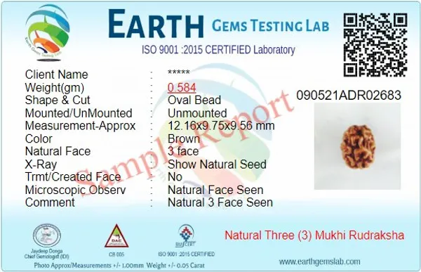 3_Mukhi_Lab_Certified_Rudraksha_(Brown)
